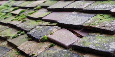 Oldcotes roof repair costs